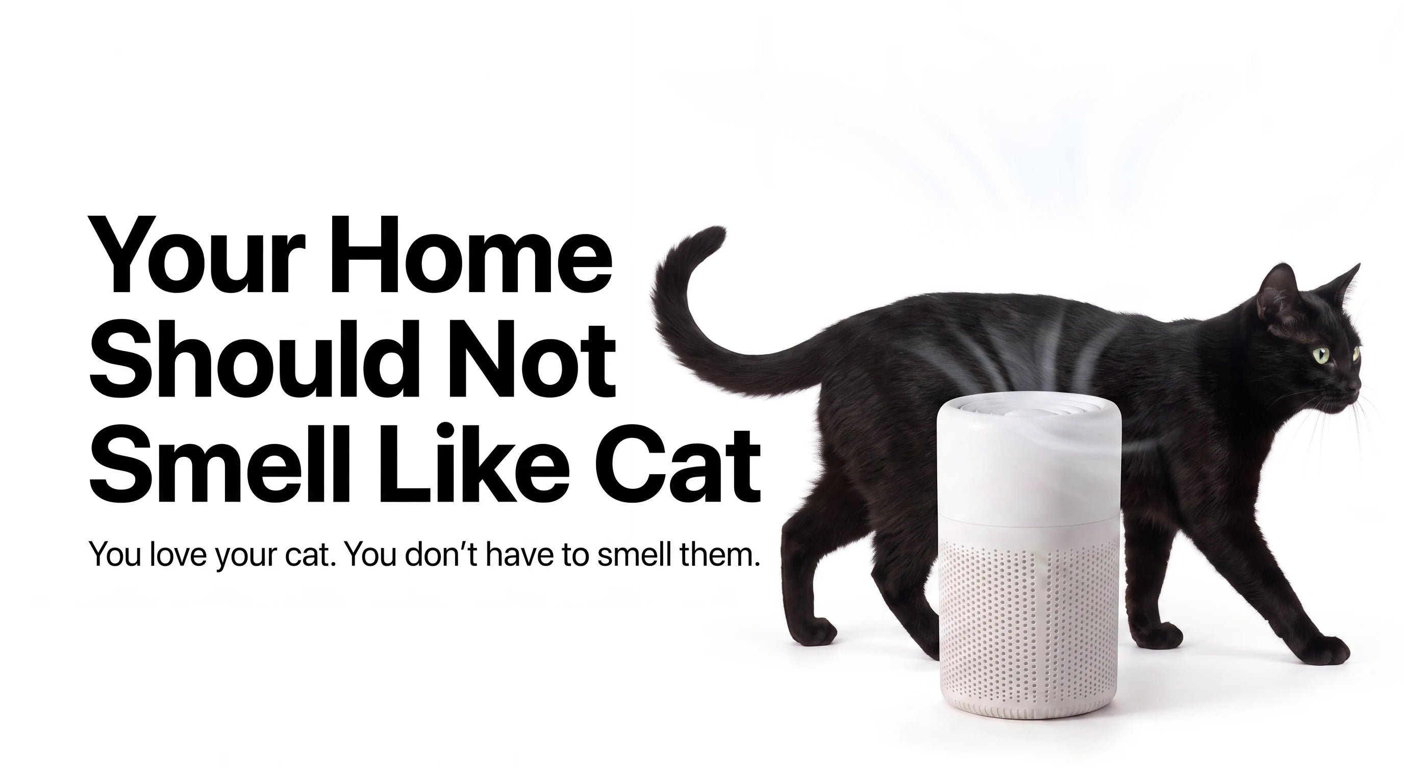 Cat Purifer 